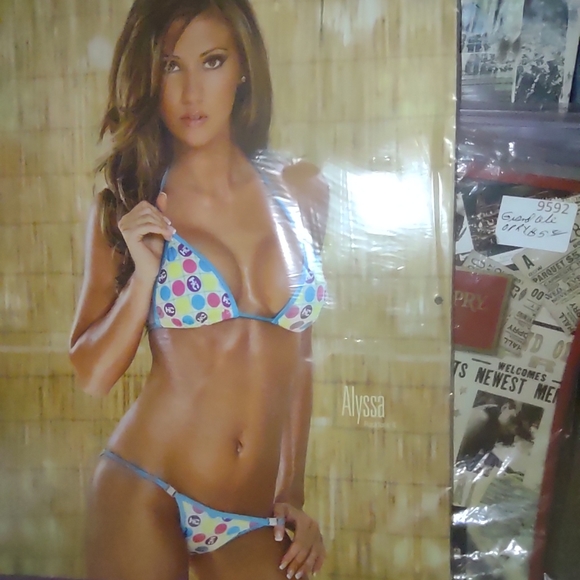 Hooter's Calendar new collectable - Picture 12 of 12